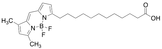 12-BODIPY-dodecanoic Acid - image 1