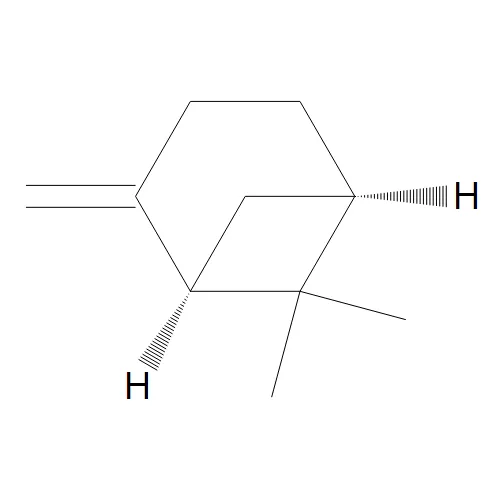(+)-b-Pinene - image 1