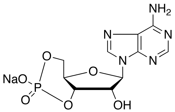 Adenosine-3’,5’-cyclic Monophosphate - image 1
