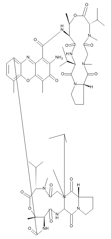Actinomycin D (Dactinomycin) - image 1