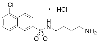 N-(4-Aminobutyl)-5-chloro-2-naphthalenesulfonamide Hydrochloride - image 1