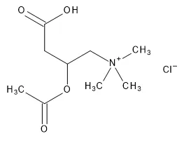 (±)-Acetylcarnitine Chloride - image 1