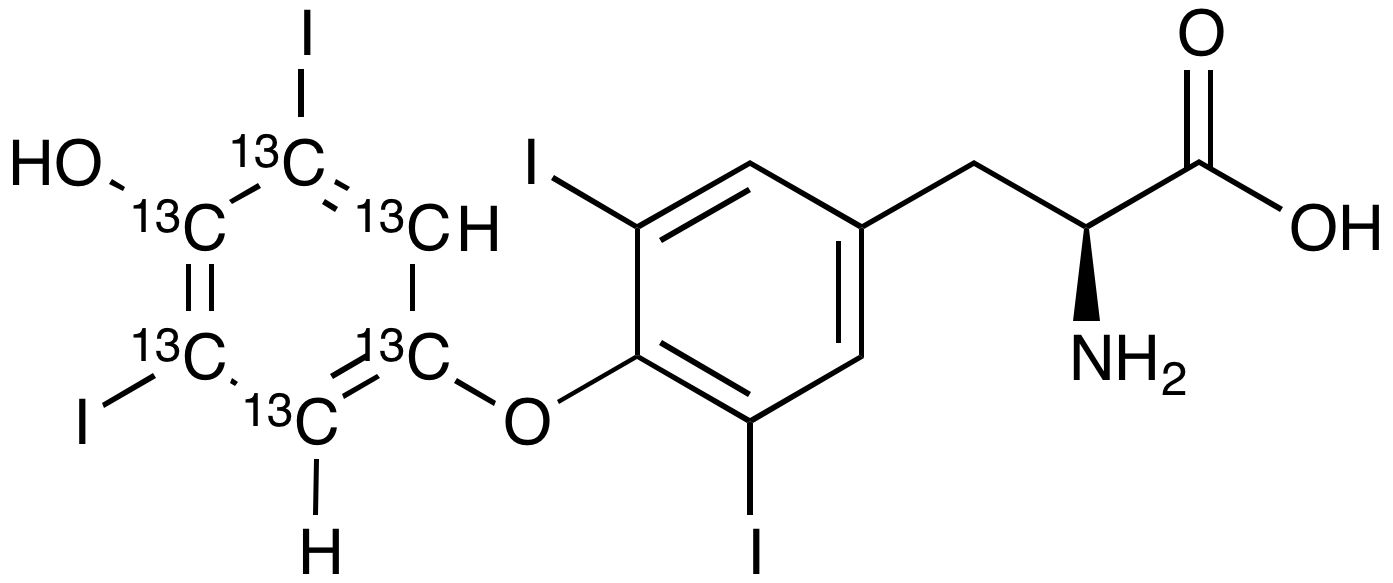 Thyroxine-13C6 - image 1