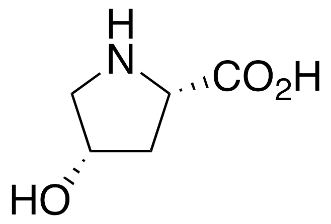 cis-4-Hydroxy-L-proline - image 1