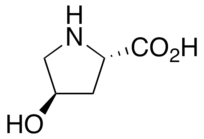 trans-4-Hydroxy-L-proline - image 1
