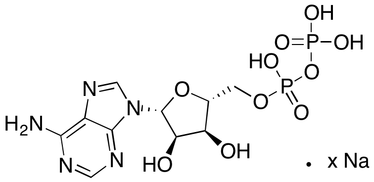Adenosine 5'-Diphosphate Sodium Salt - image 1