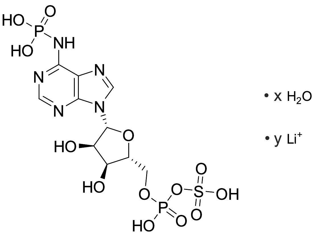 Adenosine 3′-Phosphate 5′-Phosphosulfate Lithium Salt Hydrate (Technical Grade) - image 1
