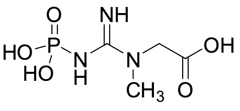 Creatine Phosphate (Phosphocreatine), >85% - image 1