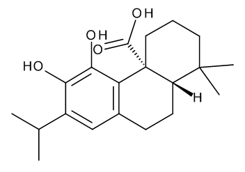Carnosic Acid - image 1