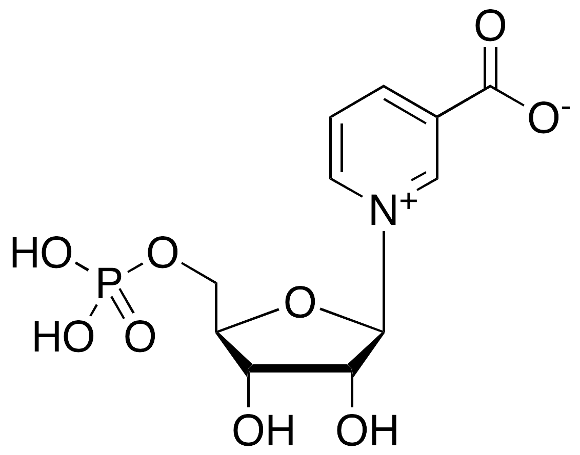 Beta-Nicotinic Acid Mononucleotide - image 1