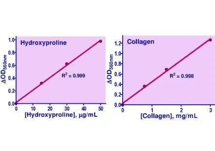 QuantiChrom™Hydroxyproline Assay Kit - image 1