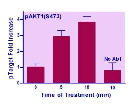 EnzyFluo™ Human/Mouse AKT1(S473) Phosphorylation ELISA Kit - image 1