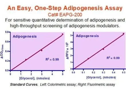 EnzyChrom™ Adipogenesis Assay Kit - image 1