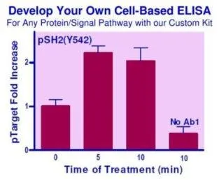 EnzyFluo™ Custom Cell-Based ELISA Kit - image 1