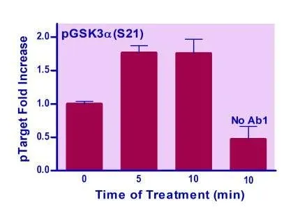 EnzyFluo™ Human/Mouse GSK3A(S21) Phosphorylation ELISA Kit - image 1