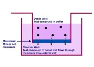 Parallel Artificial Membrane Permeability Assay (PAMPA) Kit - image 1