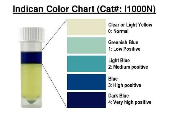 Urinary Indican Test Kit - image 1