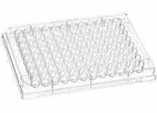 Microtiter Plates (P96UV) - image 1