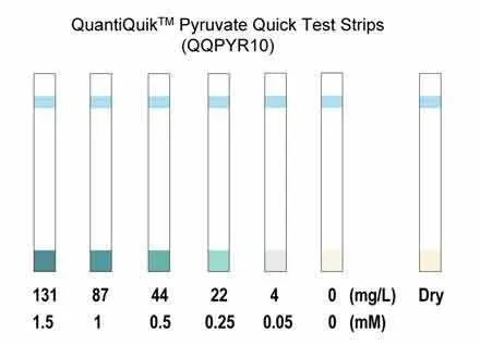 QuantiQuik™ Pyruvate Quick Test Strips - image 1