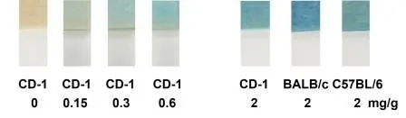 QuantiQuik™ Fecal Occult Blood Test Strips - image 1