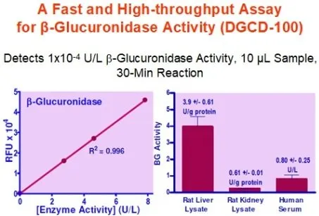 QuantiChrom™ β-Glucuronidase Assay Kit - image 1