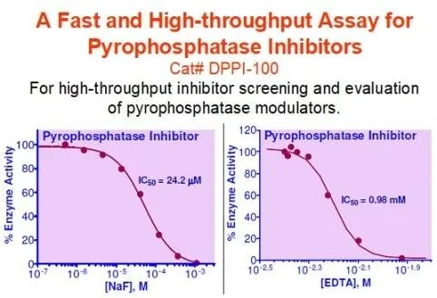 QuantiChrom™ Pyrophosphatase Inhibitor Assay Kit - image 1