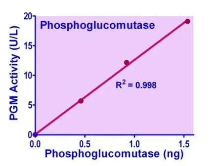 EnzyChrom™ Phosphoglucomutase Assay Kit - image 1