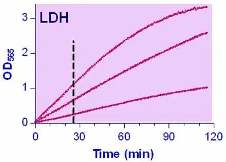 QuantiChrom™ Lactate Dehydrogenase Kit - image 1
