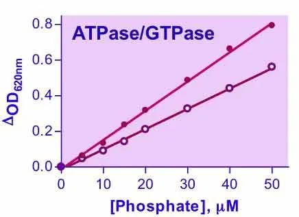 QuantiChrom™ ATPase/GTPase Assay Kit - image 1