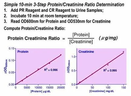 QuantiChrom™ Protein Creatinine Ratio Assay Kit - image 1
