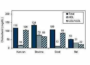 EnzyChrom™ AF HDL and LDL/VLDL Assay Kit - image 1