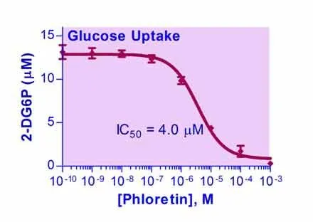 EnzyFluo™ Glucose Uptake Assay Kit - image 1