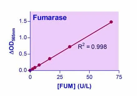 EnzyChrom™ Fumarase Assay Kit - image 1