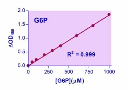EnzyChrom™ Glucose-6-Phosphate Assay Kit - image 1