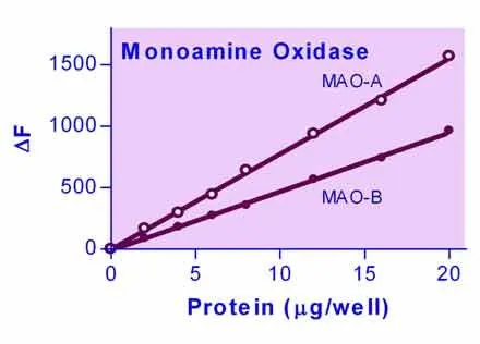EnzyChrom™ Monoamine Oxidase Assay Kit - image 1