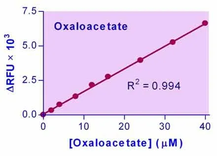 EnzyChrom™ Oxaloacetate Assay Kit - image 1