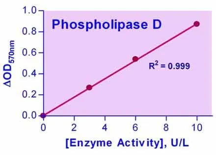 EnzyChrom™ Phospholipase D Assay Kit - image 1