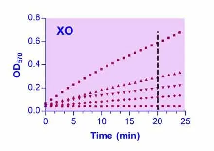 EnzyChrom™ Xanthine Oxidase Assay Kit - image 1