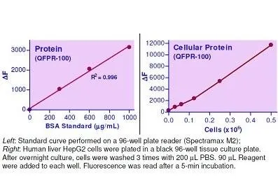 QuantiFluo™ Protein Assay Kit - image 1