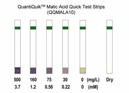 QuantiQuik™ Malic Acid Quick Test Strips - image 1