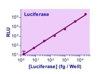 SuperLight™ Luciferase Reporter Gene Assay Kit - image 1