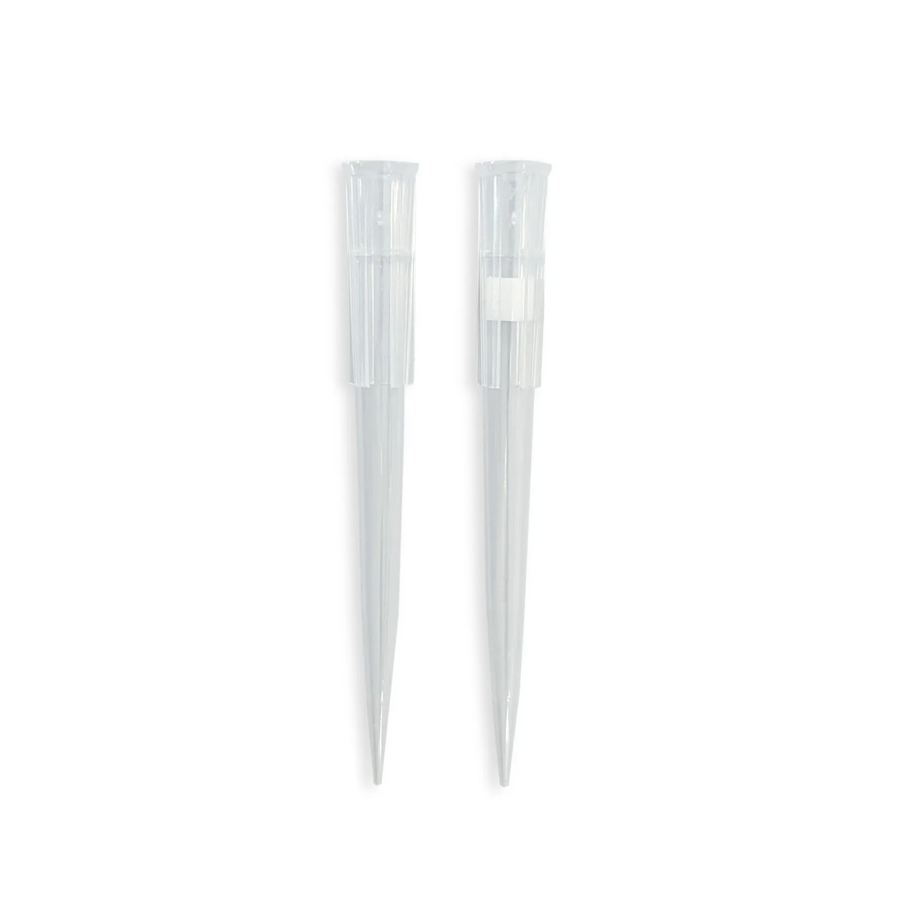 Pipette Tips - image 1
