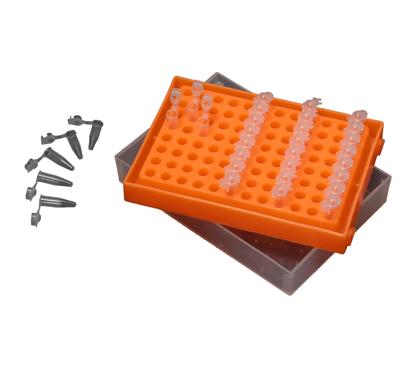 Tube Rack - image 1