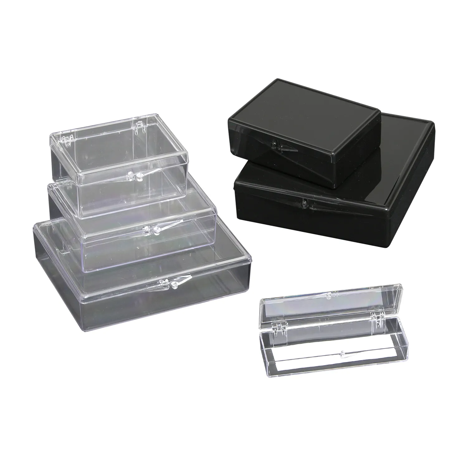 Western Blot Boxes - image 1