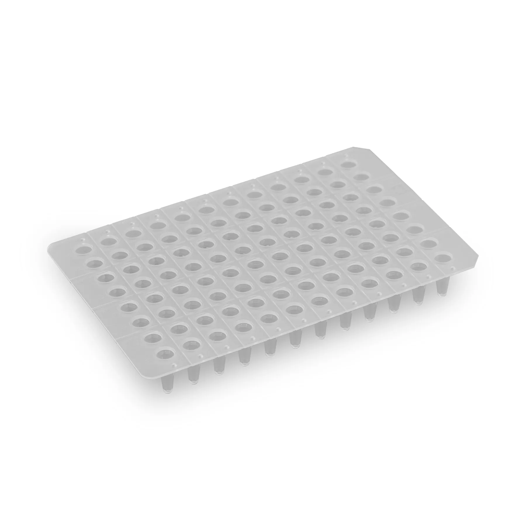 PCR Plates - image 1