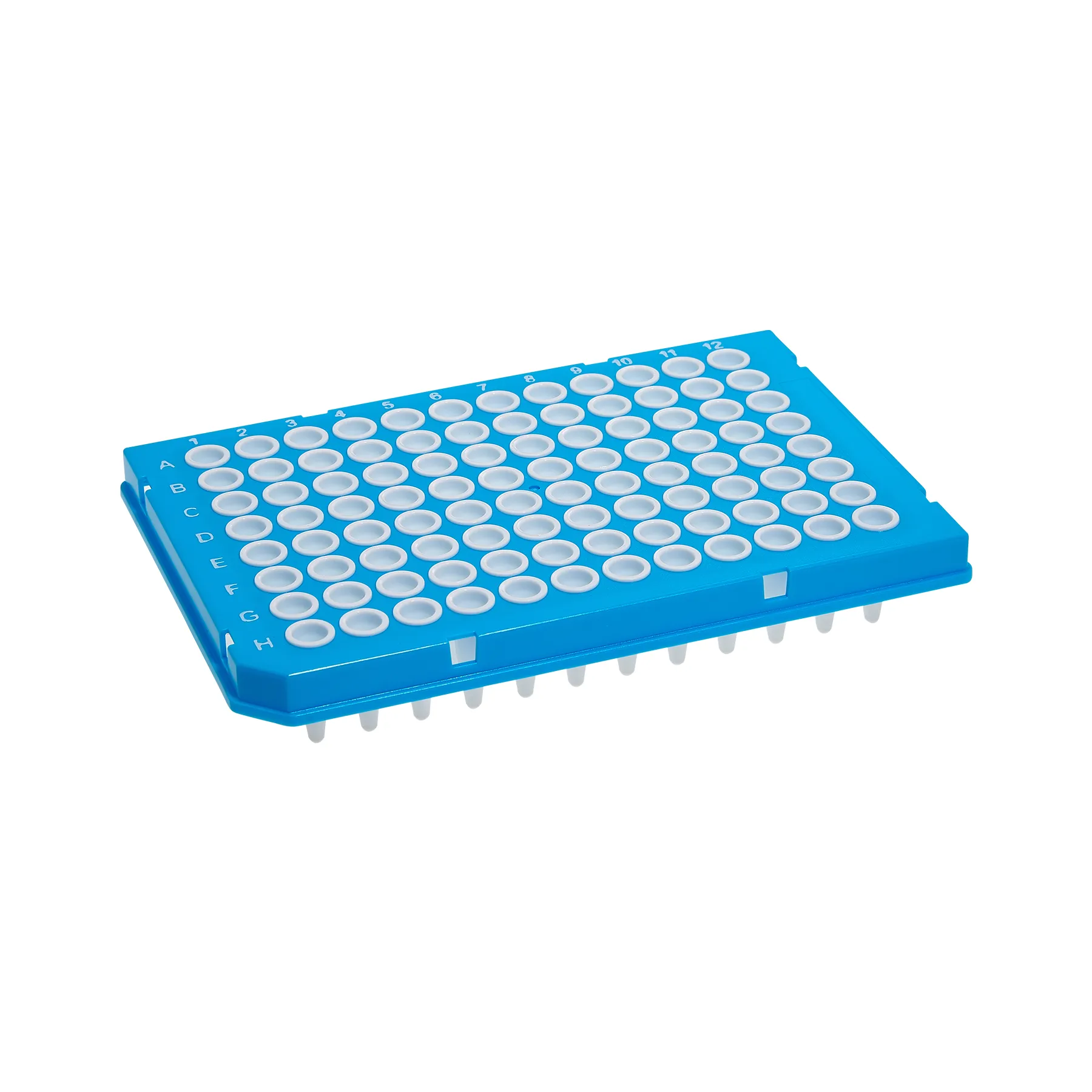 Two Component PCR Plates - image 1