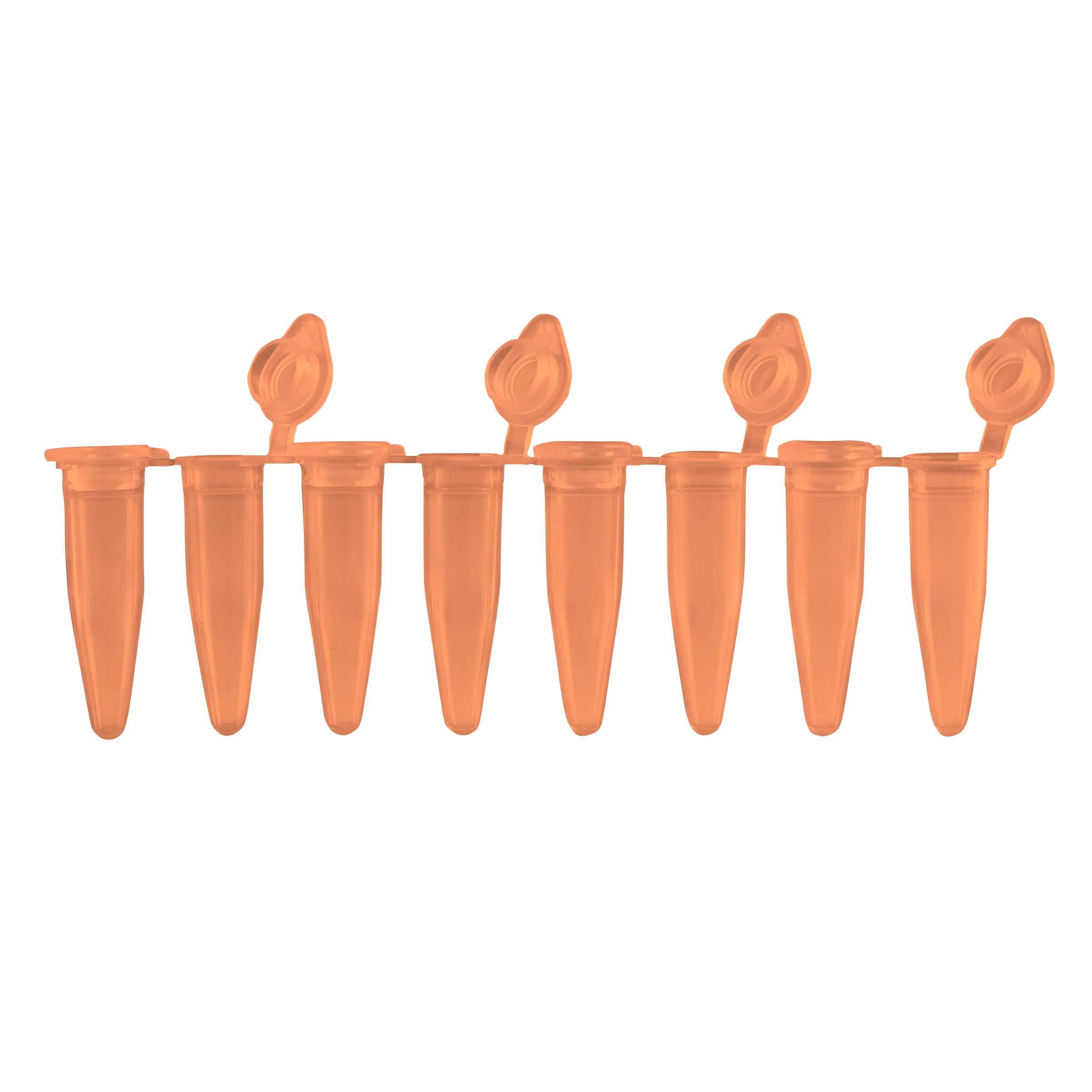 PCR Strip Tubes - image 1
