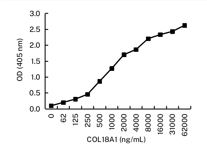 COL18A1 Antibody - image 1
