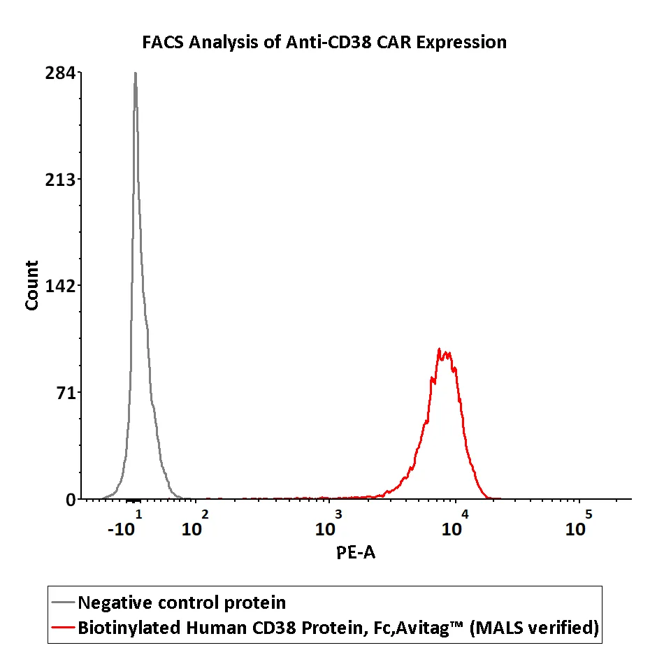 Biotinylated Human CD38 Protein, Fc, Avitag™ (MALS verified) - image 1