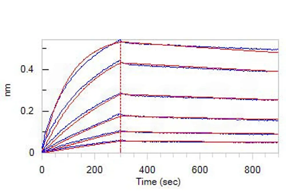 Human Apolipoprotein E / APOE2 (R154S) Protein, His Tag - image 1
